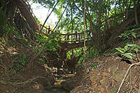 Kipu Falls Zipline Trek
