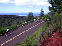 Waimea Canyon Bicycle Downhill