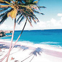 Roundtrip Barbados Airport Transfer