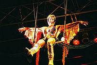 Cirque Hawaii: Directors Package