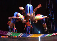 Cirque Hawaii Show