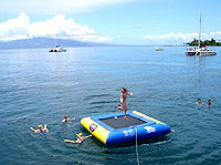 Maui Molokini Crater Snorkel Cruise and Royal Lahaina Luau Combo