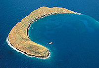 Maui Sunset Dinner Cruise and Molokini Snorkel Combo
