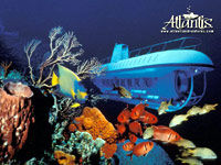 Atlantis Submarine Expedition, Cozumel