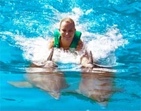 Dolphin Swim at Ocean World