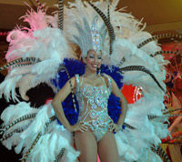Magical Nights Tour
