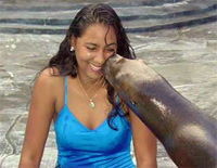 Sea Lion Encounter at Ocean World