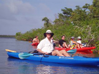 Mangrove Kayak Adventure