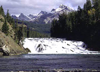 Discover Banff Summer Tour