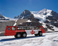 The Glacier Trail