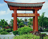 Super Combination Freeport City Tour