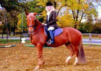 Hyde Park Riding School