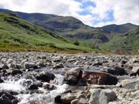Overnight Rail Tour to the Lake District and 