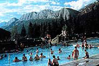 Miette Hot Springs/Watchable Wildlife Tour