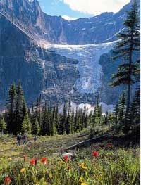 Mount Edith Cavell