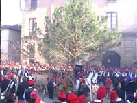 Catalan Festivals and Culture: Pine Tree Festival