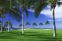 Waikoloa Beach Course Tee Times