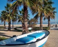 Private Full Day VIP Tour of Valencia and its Beaches
