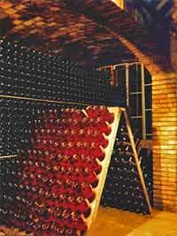 Private Half Day VIP Wine and Cava Experience
