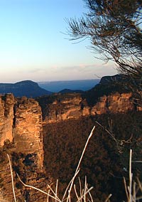 Blue Mountains Deluxe Eco Day Tour