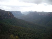 Blue Mountains Deluxe Overnight Eco Experience - Small Group