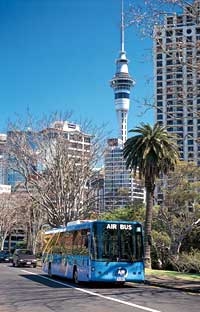 Auckland Airport Departure Transfer - Airbus
