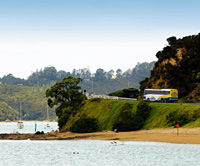 Bay of Islands to Auckland