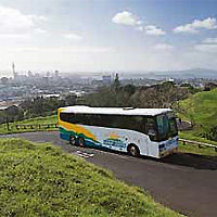 Discover Auckland City Tour