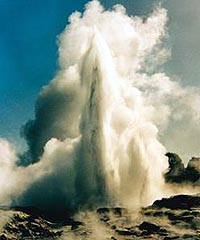 Discover Waitomo Caves, Rotorua and Taupo (3 Day / 2 Night Tour from Auckland)