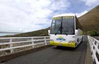 Dunedin to Christchurch via Mt Cook (One Way Tour)