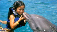 Cancun Dolphin Encounter Program