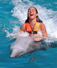 Cancun Dolphin Swim Adventure