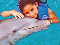 Hawaii Dolphin Encounter Program