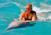 Hawaii Dolphin Swim Adventure