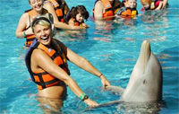 Riviera Maya Dolphin Royal Swim