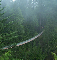 Vancouver North Shore Day Trip with Capilano Suspension Bridge and Grouse Mountain