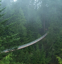 Vancouver North Shore Minibus Tour