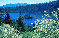 Lake Tahoe Helicopter Tour