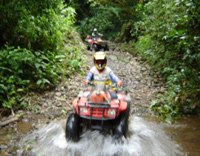 Cedral Mountain 'Big Party' ATV Tour