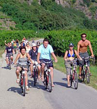 Wine Tasting Bike Tour departing Vienna