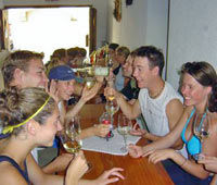 Wine Tasting Bike Tour departing Vienna