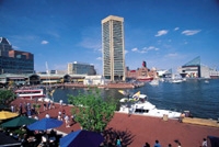 Baltimore Mini Harbor Safari Segway Tour