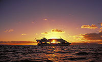 Oahu Star Sunset Dinner and Show Cruise