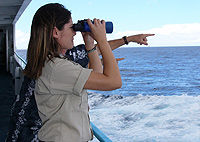 Oahu Wild Whale Watching Cruise