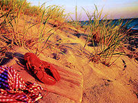 Cape Cod Excursion