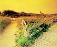 Cape Cod Excursion