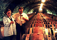 Wine Tasting - Cote de Nuits Region with One Cellar Visit