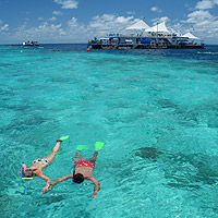 Reefsleep from Daydream Island