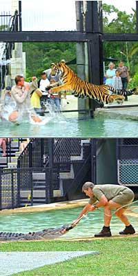 Australia Zoo home of Steve Irwin, the Crocodile Hunter!