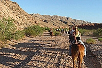 Horse Riding Adventure